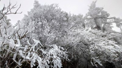 太平山冰雪世界美不勝收4