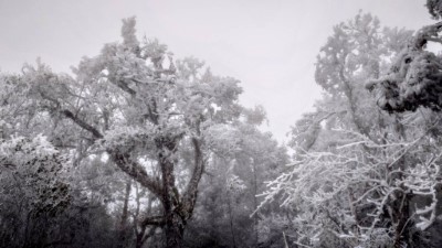 太平山冰雪世界美不勝收5