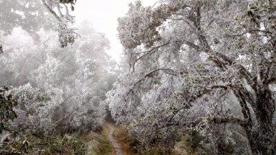 太平山冰雪世界美不勝收6