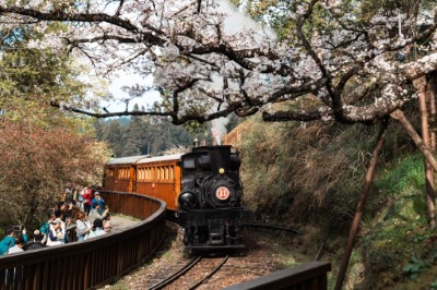 賞櫻列車(林鐵及文資處/蔡文淇拍攝)