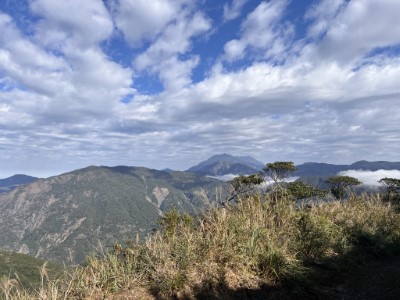 浸水營步道林相資源及野生動物豐富