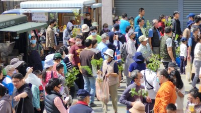 台東分署贈苗