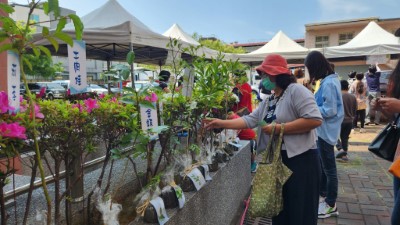臺東市區辦理公益贈苗與森林街角市集