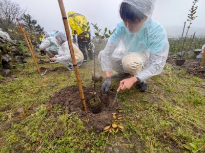 民眾植樹