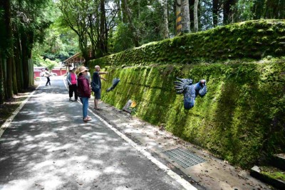 於祝山通往小笠原觀景區支線上，將原有擋土牆鑲嵌窯燒，以現地常出沒的臺灣帝雉作為意象，兼具觀賞及教育性