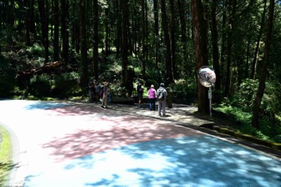 祝山林道2.5k處同為水山療癒步道入口，本次整修將該路段鋪設彩色瀝青混凝土，提醒駕駛注意路況與遊客通行安全