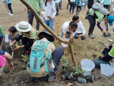 大家一起編織生態綠網（113年植樹活動資料照）