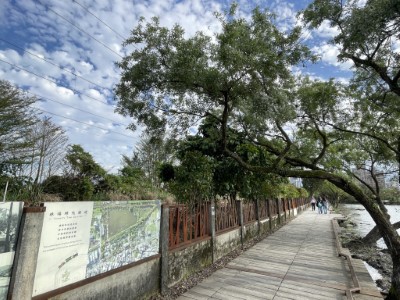 林場時光廊道03