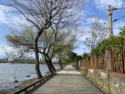 林場時光廊道06