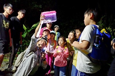 神秘有趣的夜間青蛙派對，池南「蛙蛙新樂園」3/10開放報名。