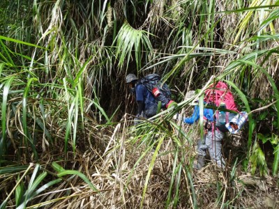 國家森林調查監測志工2(協助執行深山特遣任務)