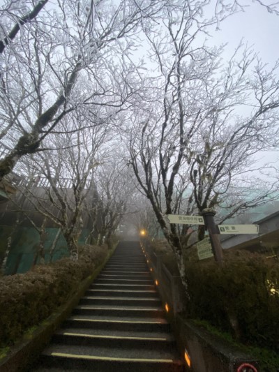 太平山0度霧淞再現3
