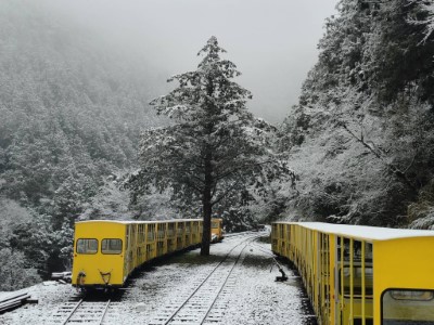 白雪山林間的蹦蹦車，美到像置身於童話世界2