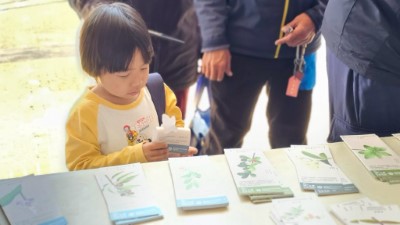 原生植物立體書籤