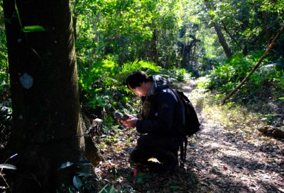 石虎保育協會認養國有非公用邊際土地，並架設自動相機監測棲地。（台灣石虎保育協會提供）