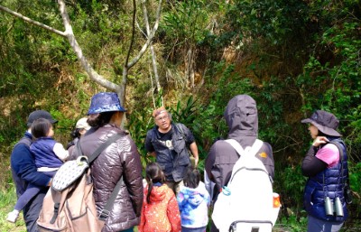 透過社區導覽及友善農業等工作，讓更多人瞭解棲地保護對石虎保育工作的重要性。（台灣石虎保育協會提供）