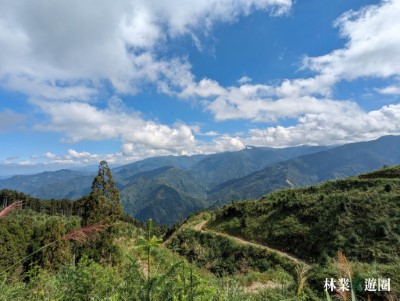 林場見學1-永泰林場為永續森林經營之針葉林場(林業保育署新竹分署提供)