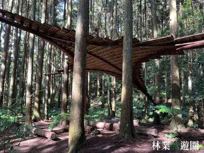 林場見學2-用心體會「習森」取之於森林，用之於森林的故事(林業保育署新竹分署提供)