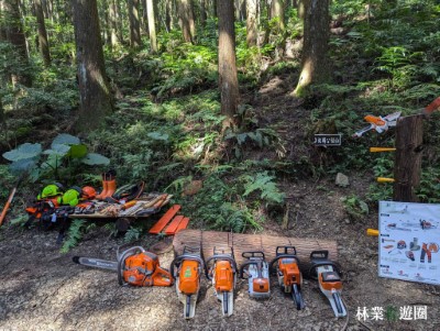 林場見學3-了解林業職人如何進行伐木工作(林業保育署新竹分署提供)