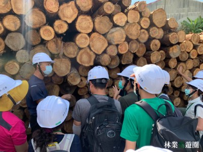 林場見學4-實際至製材廠了解從木成材的故事(林業保育署新竹分署提供)