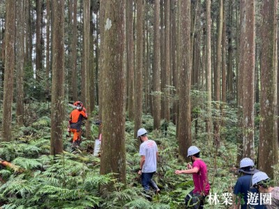 林業應援團4-跟著職人腳步認識永續森林(林業保育署新竹分署提供)