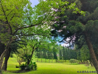 池南大草坪
