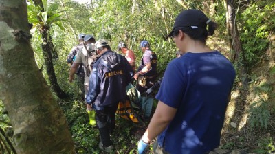 卓溪黑熊受困陷阱，民眾通報順利獲救。