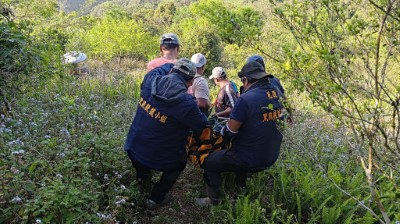 卓溪黑熊受困陷阱，民眾通報順利獲救。