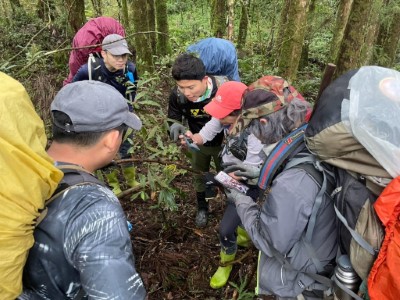 學習司法官觀摩山林巡護植物辨識及記錄工作(林業保育署新竹分署提供)