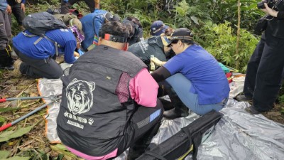 野灣野生動物保育協會現場進行前肢外傷處理，「桃源及永康棲地巡守隊」隊員於現場協助
