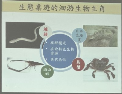 保力溪生態桌遊探索水域物種保育及棲地維護5
