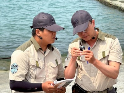 10林業及自然保育署屏東分署人員辨識註記漂流木