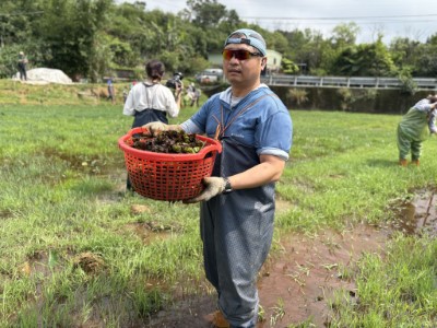 04移除人厭槐葉蘋