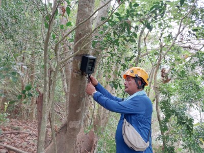 在目擊地點林地周邊裝設自動相機監測