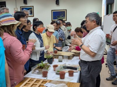 蕨類有性繁殖操作實習