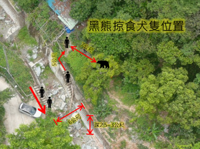21日晚間巡護隊員遭遇黑熊的現場俯瞰與人熊相對位置示意圖