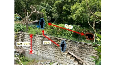 21日晚間巡護隊員遭遇黑熊的現場與人熊相對位置示意圖