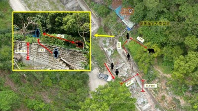 21日晚間巡護隊員遭遇黑熊的現場與人熊相對位置示意圖