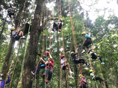攀樹體驗_東眼山(東眼山自然教育中心提供)
