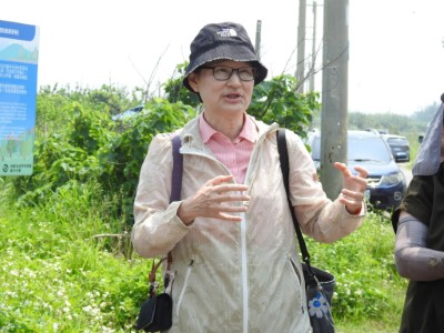 東海大學生態與環境研究中心林惠真教授提供陸蟹生態保育建議
