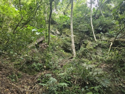 拾獲頸圈處