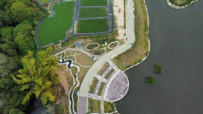 大里旱溪巴氏銀鮈庇護池位於映彩湖滯洪池旁，共有3個獨立水池，周圍樹林與大片空心菜田，吸引許多野生動物前來利用