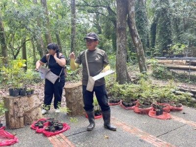 解說在地原生種民俗植物