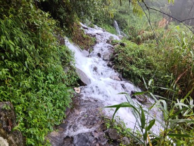 北大武山步道現況-2