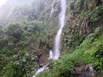 北大武山步道現況-3