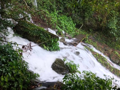 北大武山步道現況