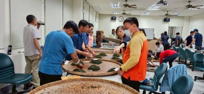 講師帶領學員於林地辨識芽葉及採摘要領2