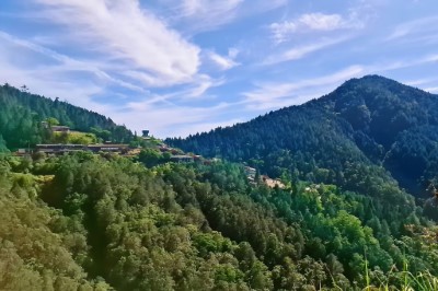太平山山景1