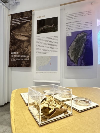 八仙山國家森林遊樂區遊客中心「百步蛇野外護卵孵化紀錄」特展，除有百步蛇相關資料外，現場同時有百步蛇卵、蛇蛻等珍貴展示，千萬不要錯過