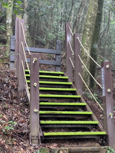 馬那邦山步道-既有基礎新設階梯棧道(林業保育署新竹分署提供).jpg
